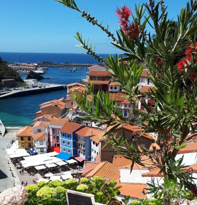 RESERVA DIRECTAMENTE con nosotros!
https://fb.me/16ayNVK3t
#cudillero #cudillero_ig #asturiasesunparaiso #asturiasmola #asturias_mola #asturias #costaverdeespaña #elnortedeespaña